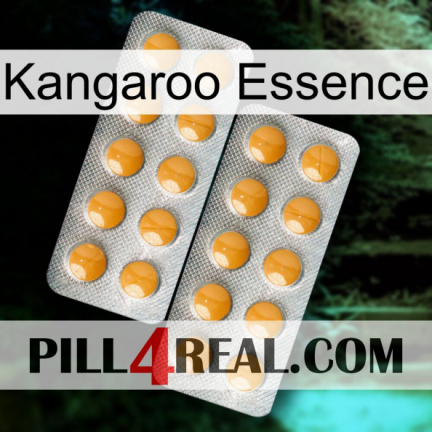 Kangaroo Essence levitra2